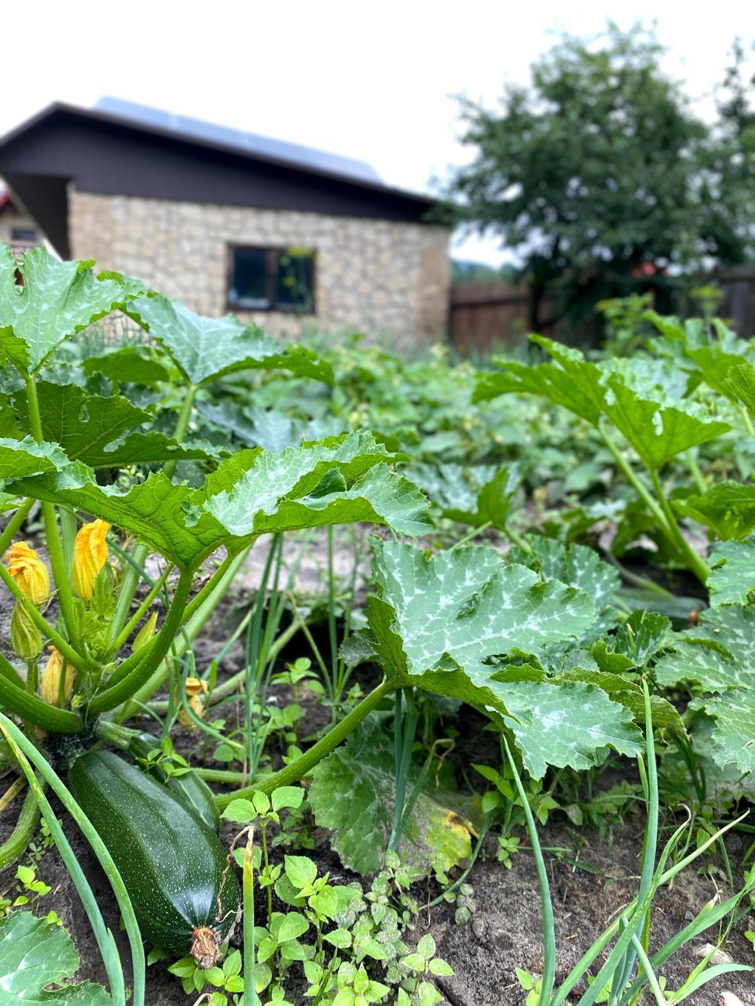 Lodge Kwatera Pod Bukowa Gora Zwierzyniec
